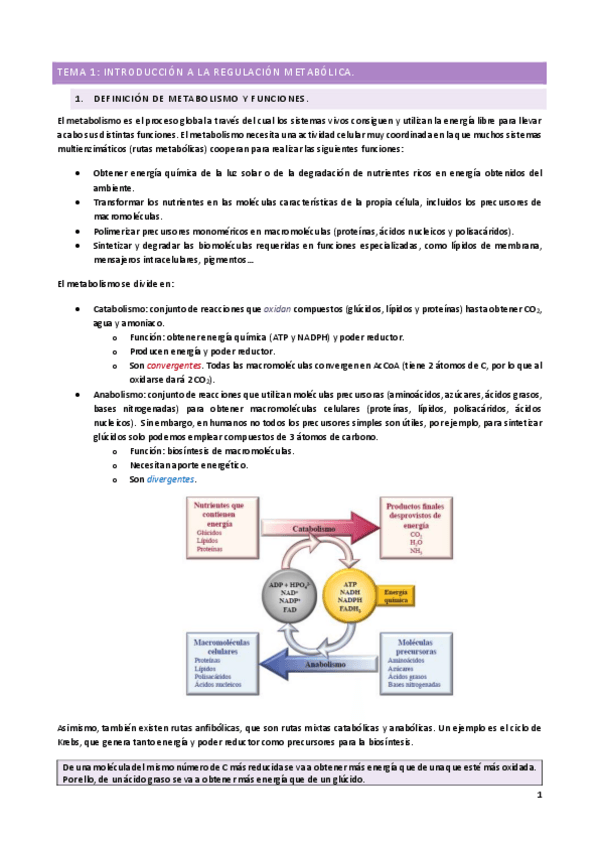 Miniatura del documento T1.pdf