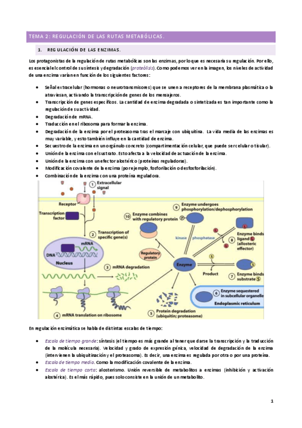 Miniatura del documento T2.pdf
