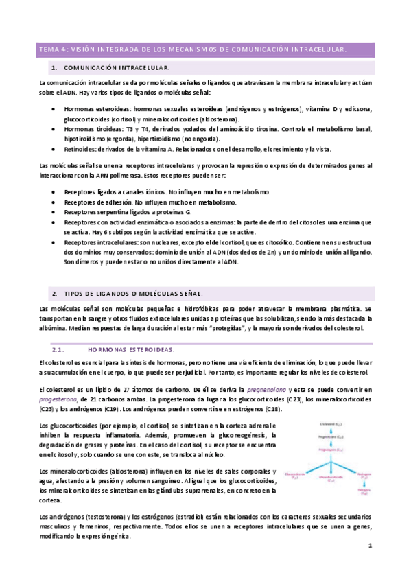 Miniatura del documento T4.pdf