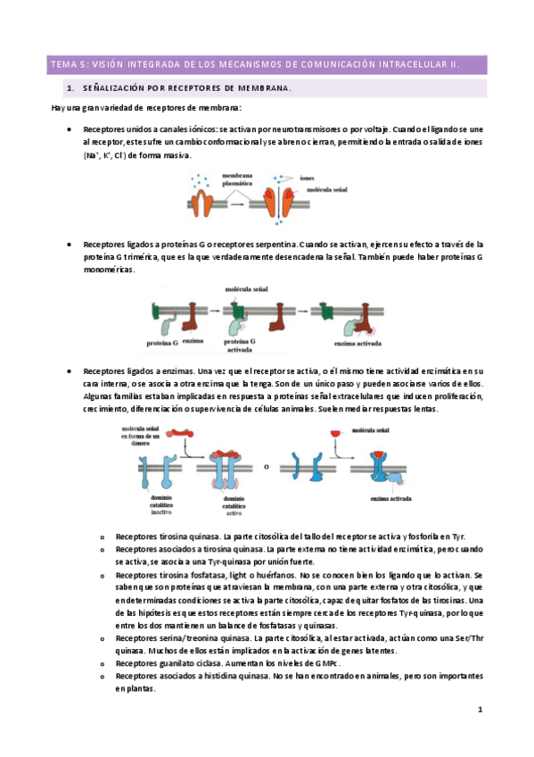 Miniatura del documento T5.pdf
