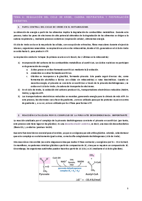 Miniatura del documento T6.pdf