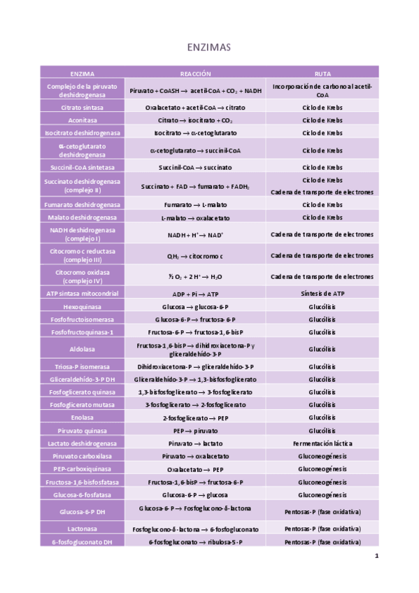 Miniatura del documento ENZIMAS.pdf