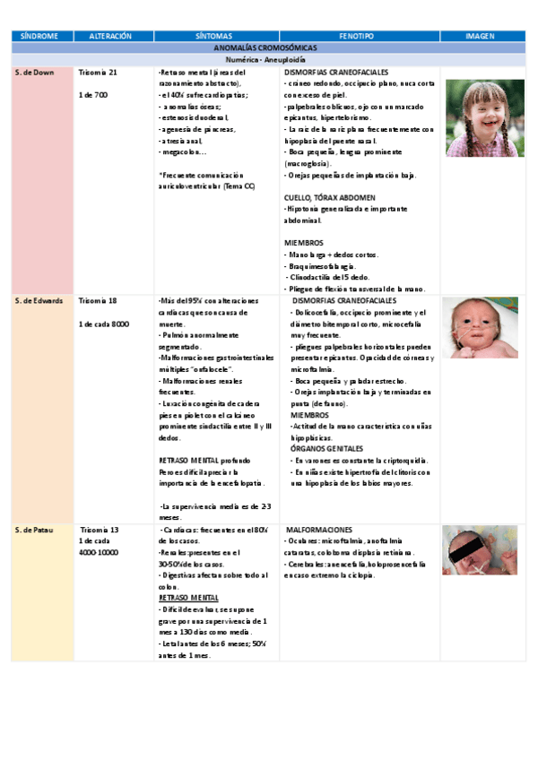 Miniatura del documento TABLA-GENETICA.pdf