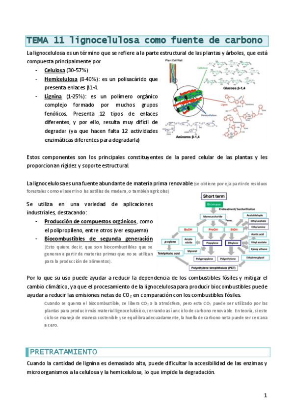 Miniatura del documento BMicrobianaT11lignocelulosa.pdf