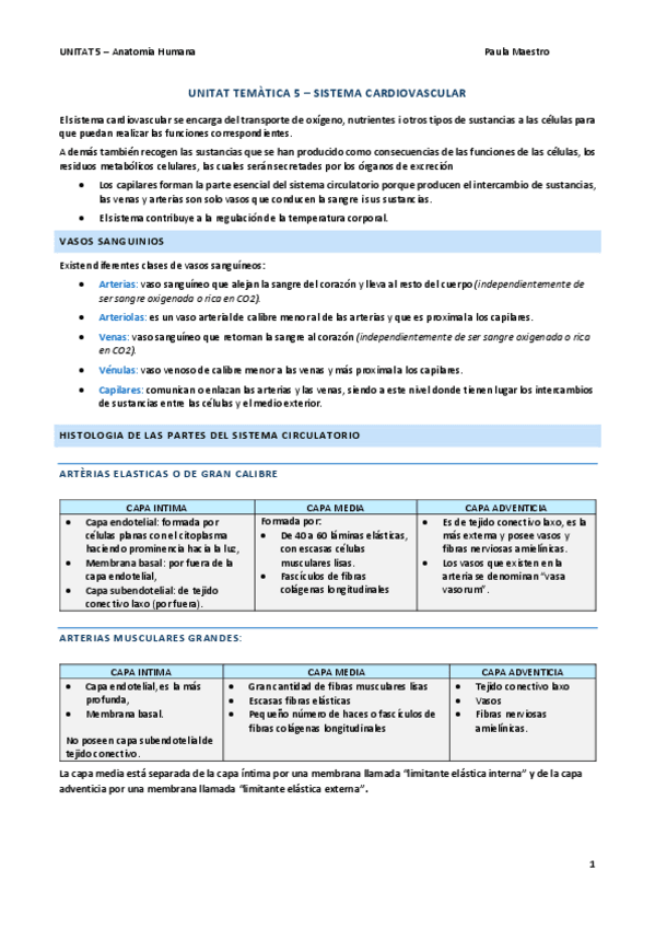 Miniatura del documento UNITAT-5-Anatomia.pdf