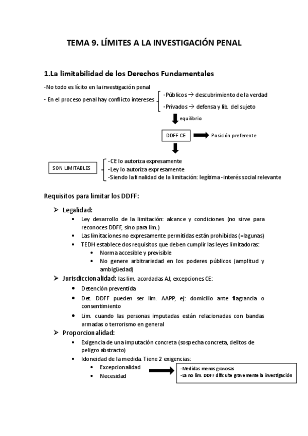 Miniatura del documento TEMA-9.-Limites-a-la-investigacion-penal.pdf