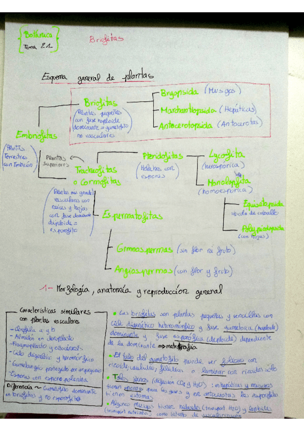 Miniatura del documento Tema-21-23-Botanica.pdf