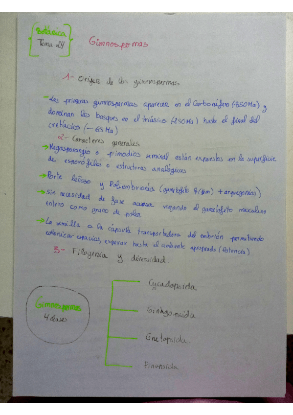 Miniatura del documento Tema-24-26-Botanica.pdf