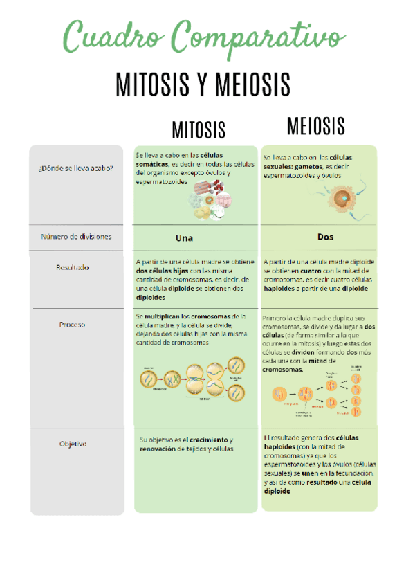 Miniatura del documento BIOLOGIA-cuadro-comparativo-mitosis-y-meiosis-.pdf