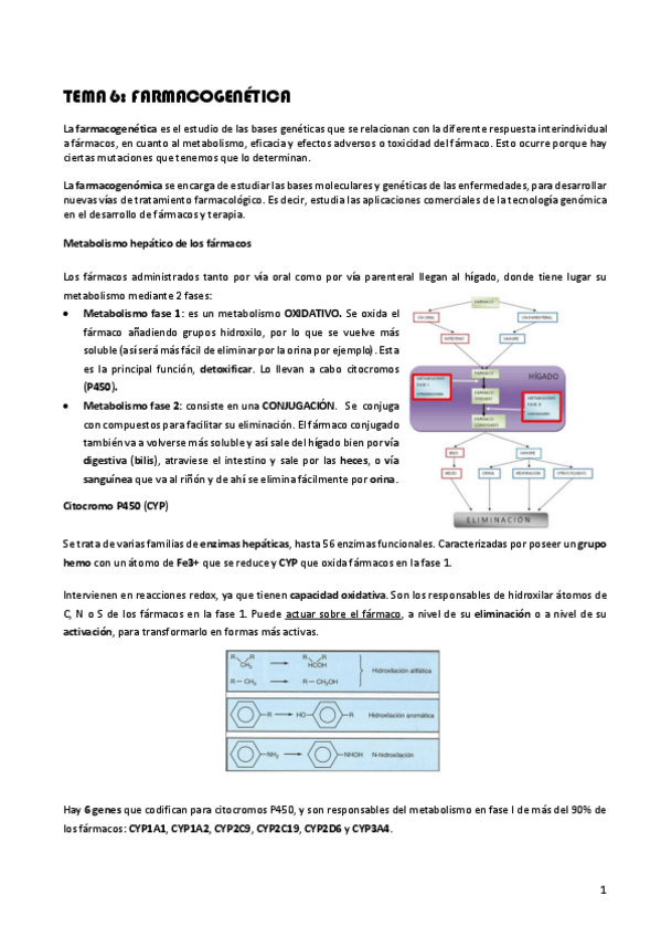 Miniatura del documento Tema-6-Farmacogenetica.pdf