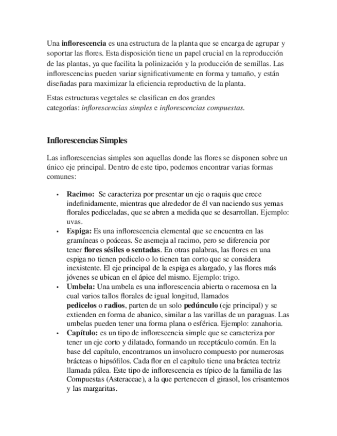 Miniatura del documento biologia-inflorescencia.docx