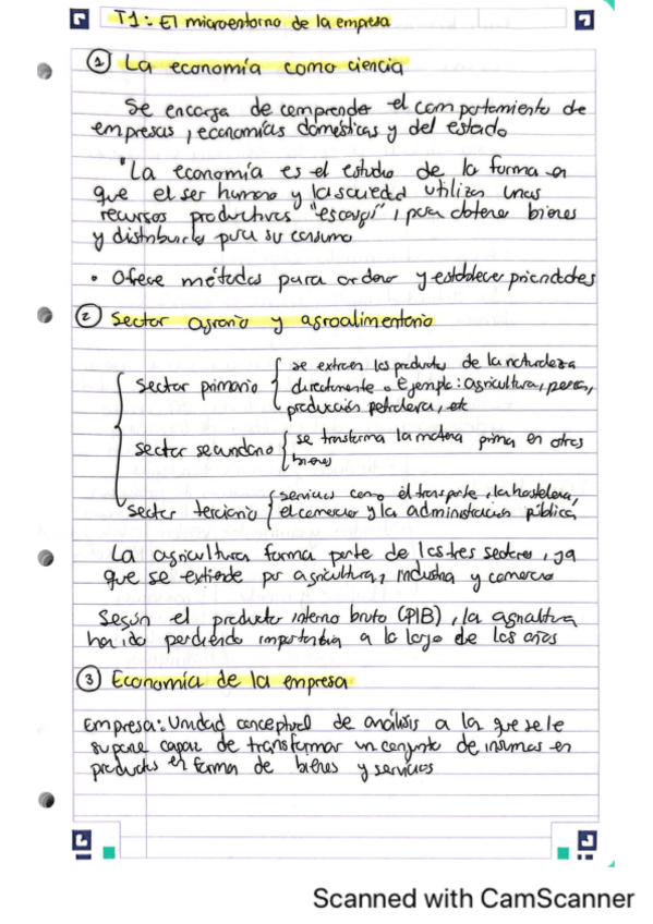Miniatura del documento T1-EMPRESA-APUNTES-Y-PROBLEMAS.pdf