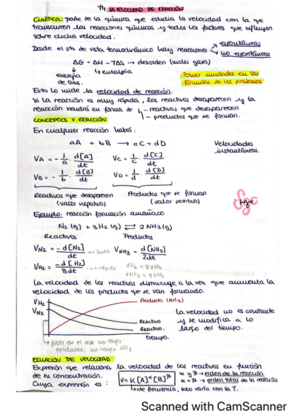 Miniatura del documento T4-Cinetica-quimica-EBAU-CASTILLA-Y-LEON.pdf