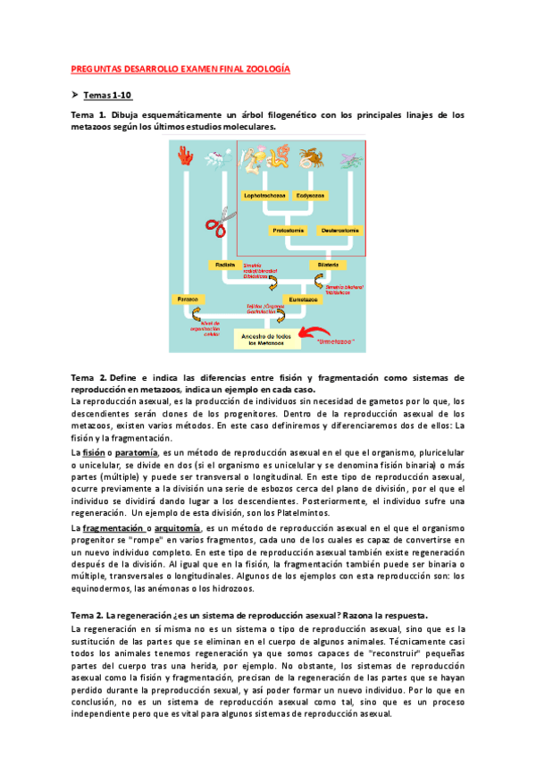 Miniatura del documento Preguntas-desarrollo-examen-final.pdf
