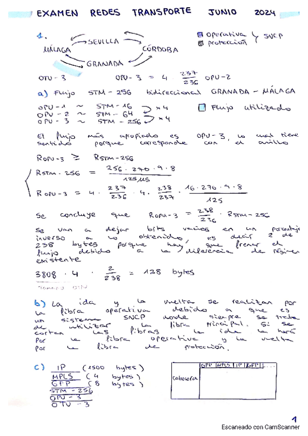 Miniatura del documento EXAMEN-JUNIO-2024.pdf
