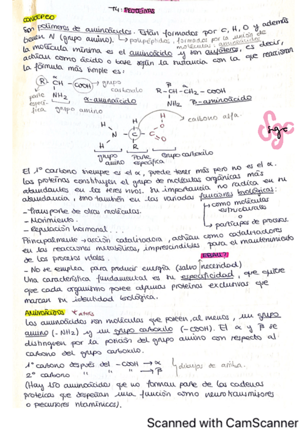 Miniatura del documento Proteinas-EBAU-CASTILLA-Y-LEON.pdf