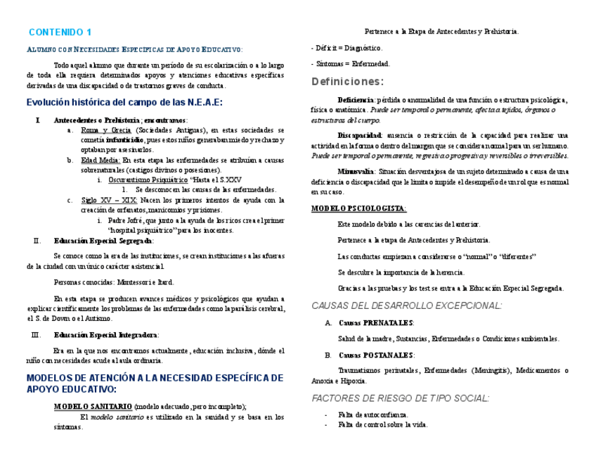 Miniatura del documento Apuntes-Contenidos-Teoricos-NEAE.pdf