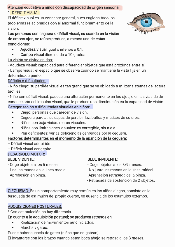 Miniatura del documento Discapacidad-de-Origen-Sensorial-NEAE.pdf