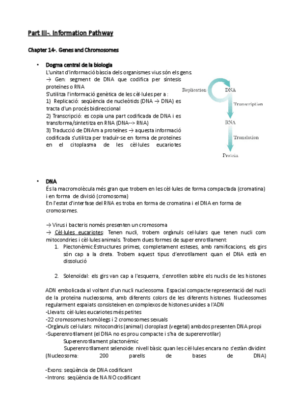 Miniatura del documento Resum complet bioquímica Parts I II III.pdf