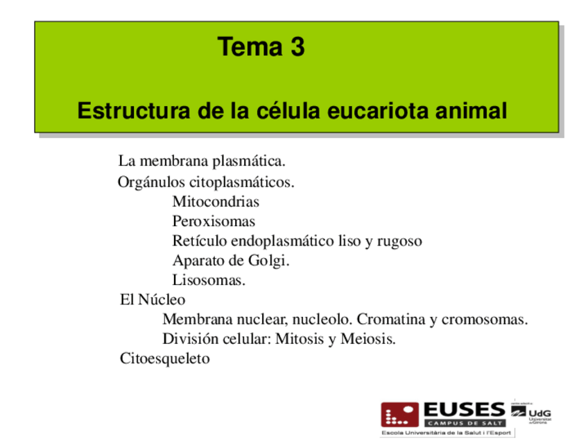 Miniatura del documento La Membrana plasmatica.pdf