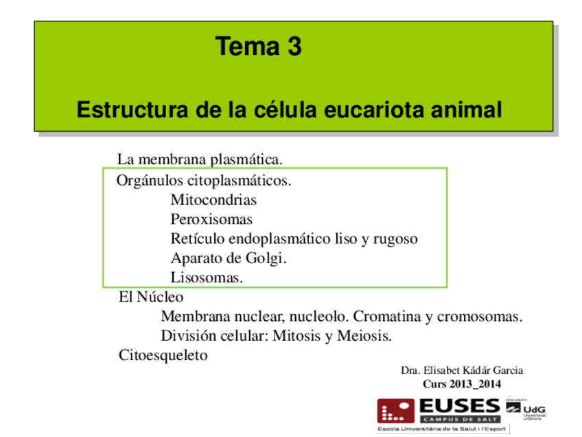 Miniatura del documento Tema 3.2 Citoplasma i orgànuls.pdf