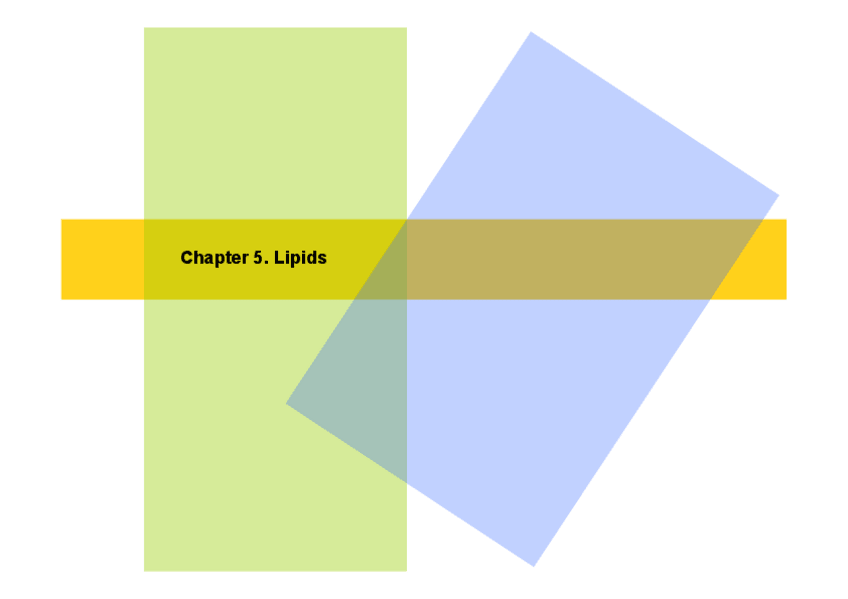 Miniatura del documento Chapter 5_Lipids_JUDIT 2018-2019.pdf
