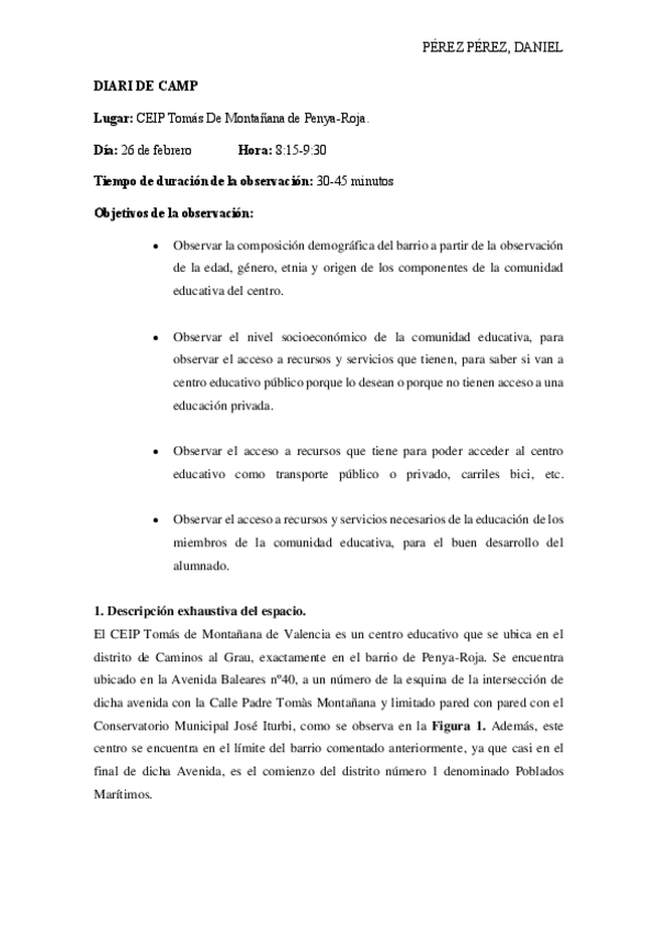 Miniatura del documento DIARIO-DE-CAMPO-CEIP-TOMAS-DE-MONTANANA.pdf