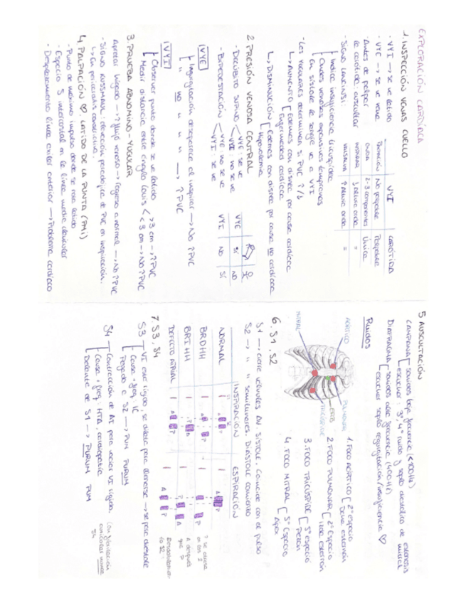 Miniatura del documento Exploracion-Cardiovascular.pdf
