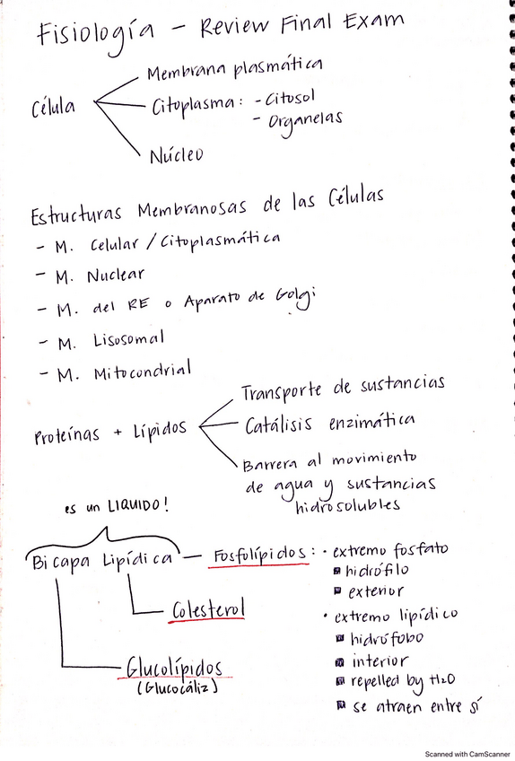 Miniatura del documento Apuntes-Fisiologia-I.pdf