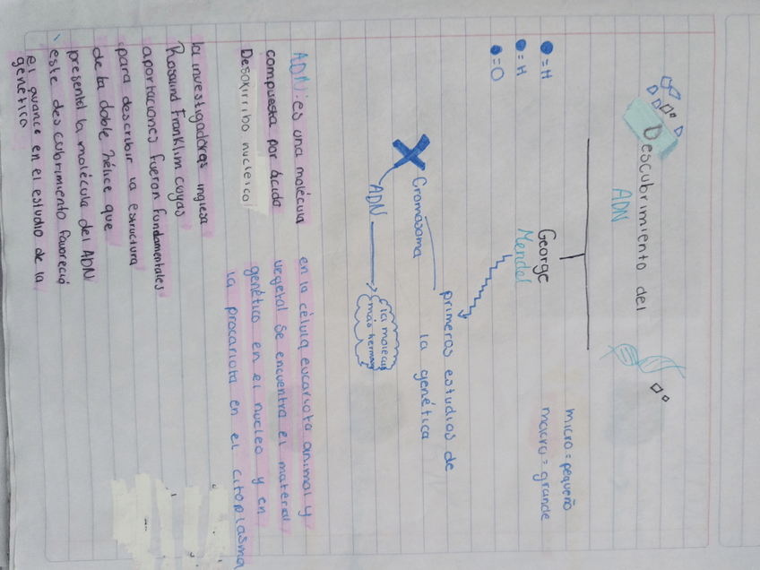 Miniatura del documento Descubrimiento-del-adn.jpg