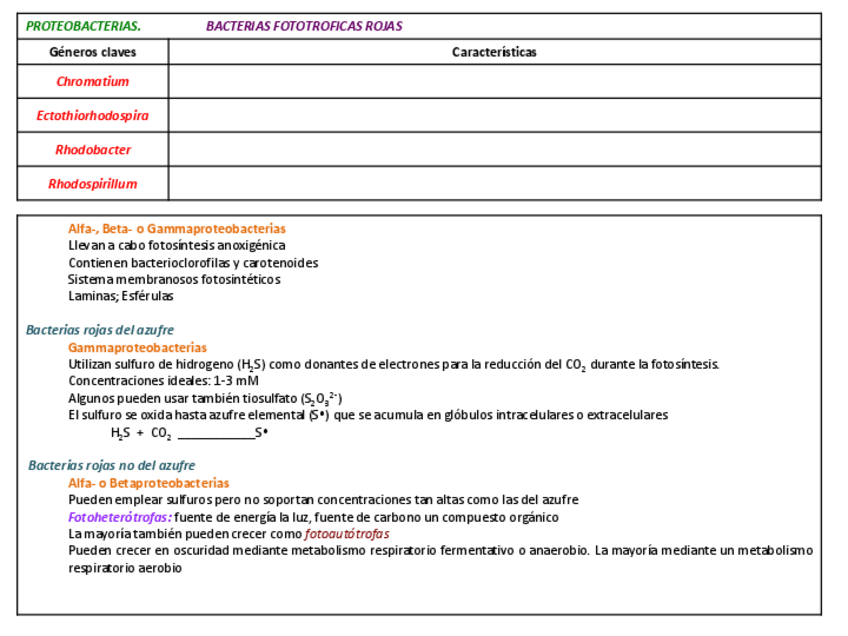 Miniatura del documento tema4.pdf