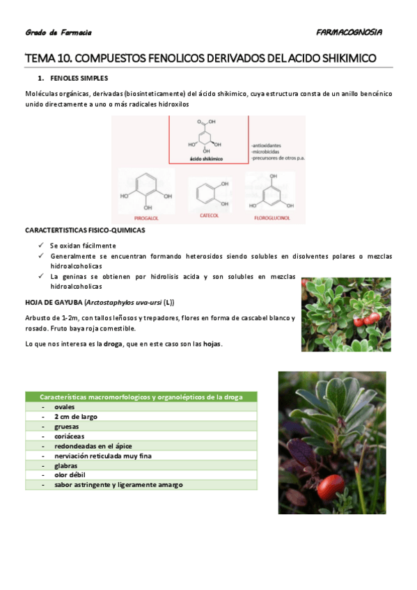 Miniatura del documento TEMA 10.pdf