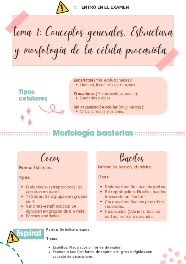 Miniatura del documento TEMA-1 ANOTACIONES DE LO QUE ENTRÓ EN EL EXAMEN.pdf