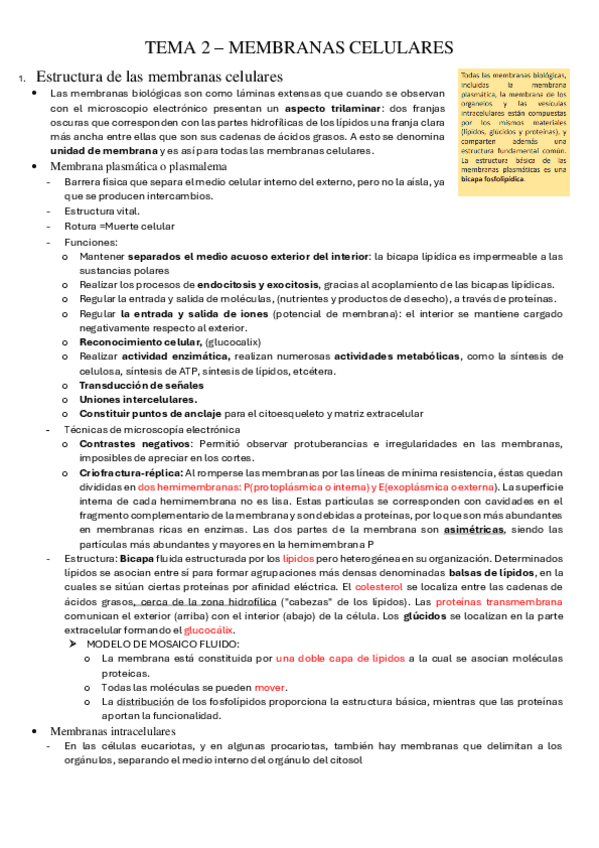 Miniatura del documento TEMA-2-membranas-celulares.pdf