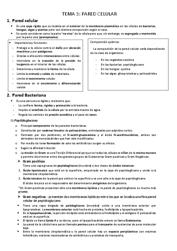 Miniatura del documento Tema-3-pared-celular.pdf