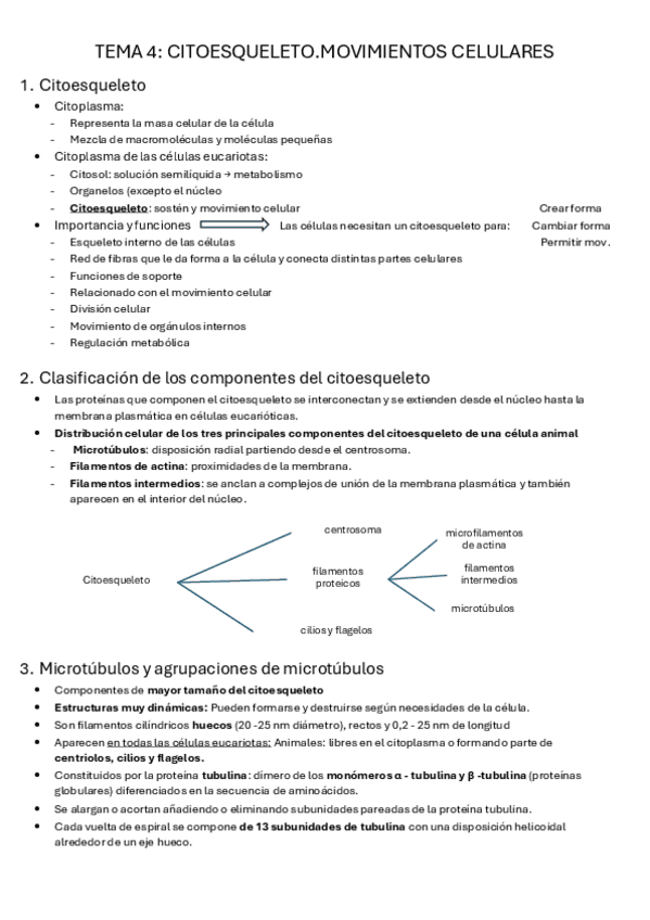 Miniatura del documento TEMA-4-citoesqueleto.pdf