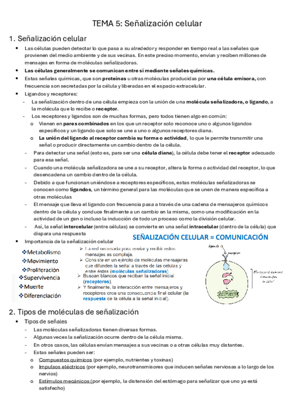 Miniatura del documento tema-5-senalizacion-celular.pdf