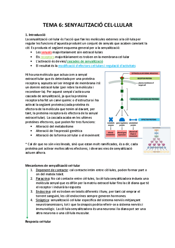 Miniatura del documento TEMES-6-7-8.pdf
