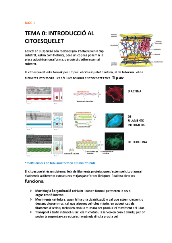 Miniatura del documento TEMES-1-2-3.pdf