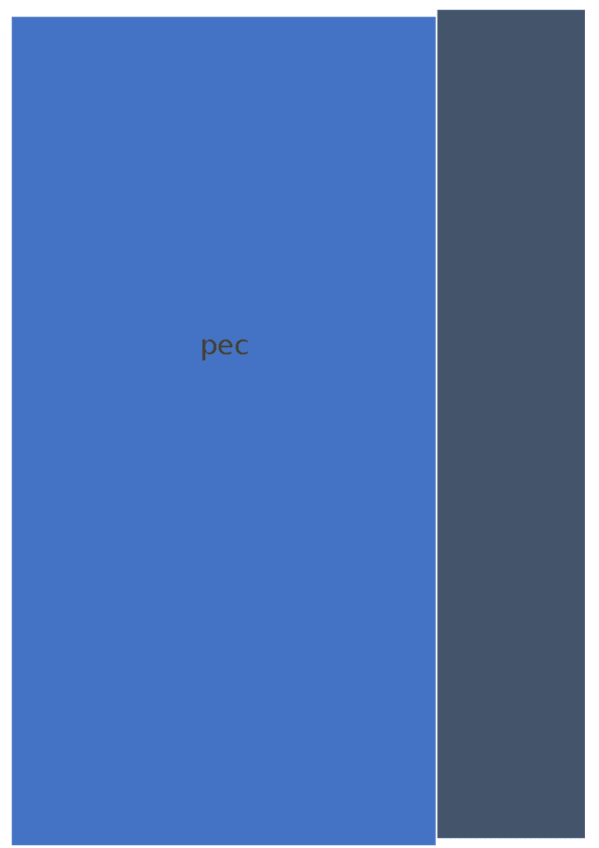 Miniatura del documento PEC.docx