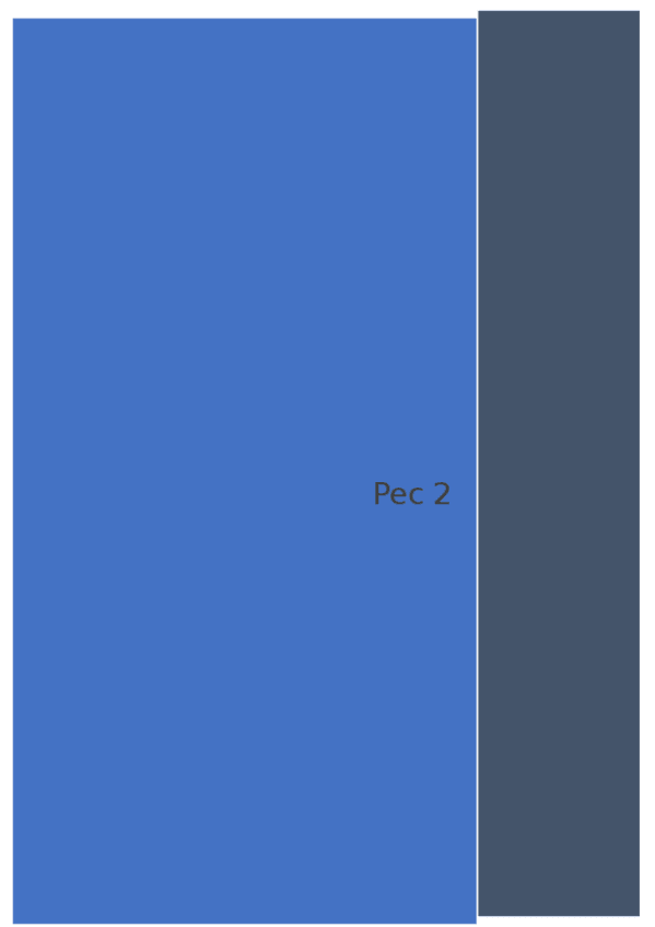 Miniatura del documento PEC-2.docx