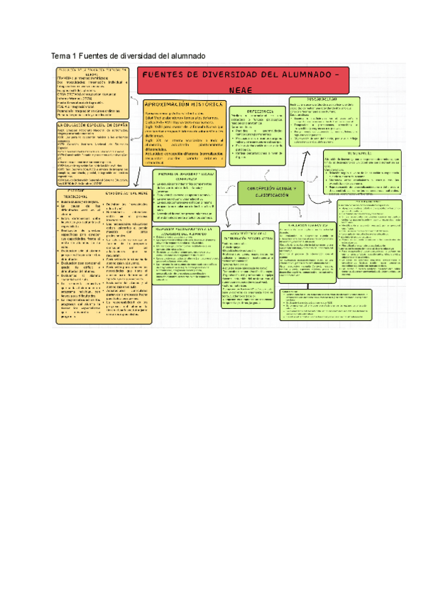 Miniatura del documento Esquemas-por-temas-de-NEAE.pdf