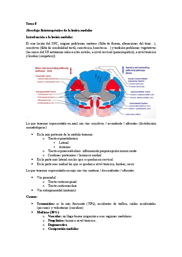 Miniatura del documento Tema-8-de-neuro-lesion-medular.pdf