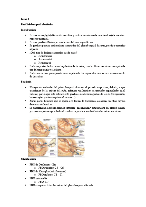 Miniatura del documento Tema-6-pediatria.pdf