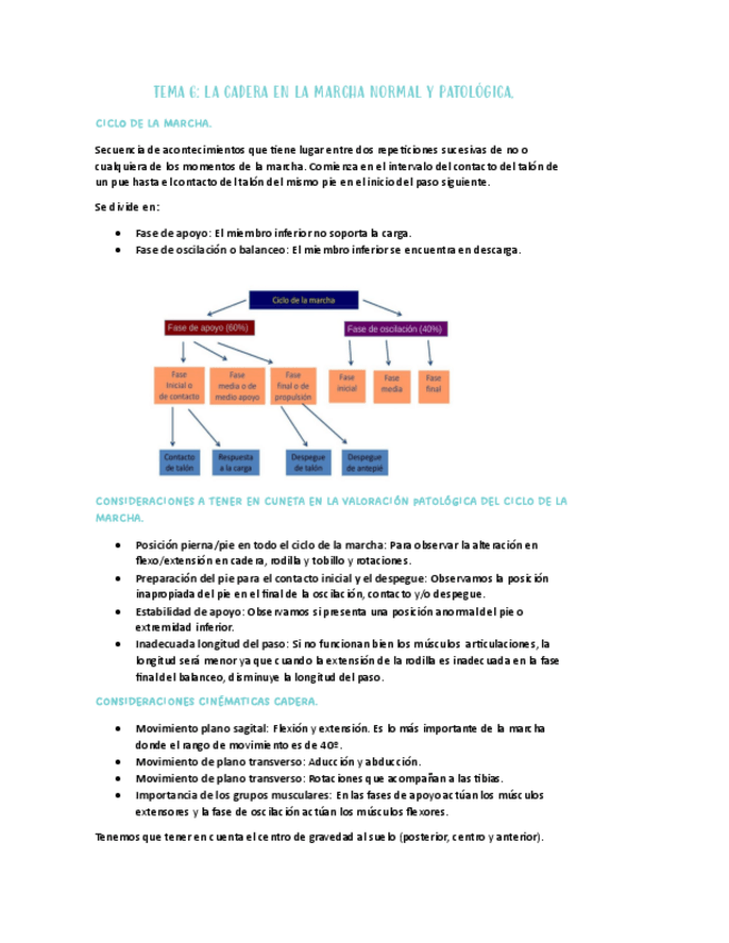 Miniatura del documento TEMA-06-LA-CADERA-EN-LA-MARCHA-NORMAL-Y-PATOLOGICA..PDF