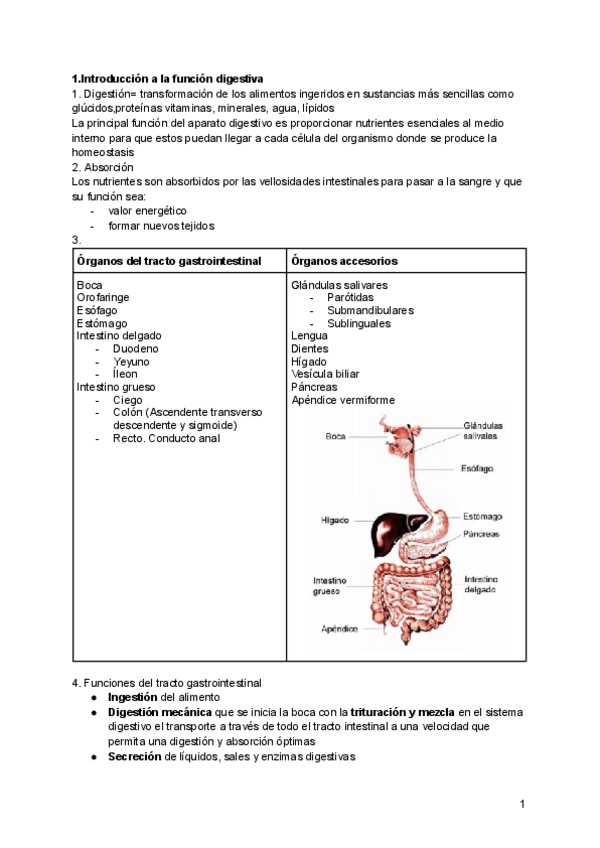Miniatura del documento Sistema-DIGESTIVO.pdf