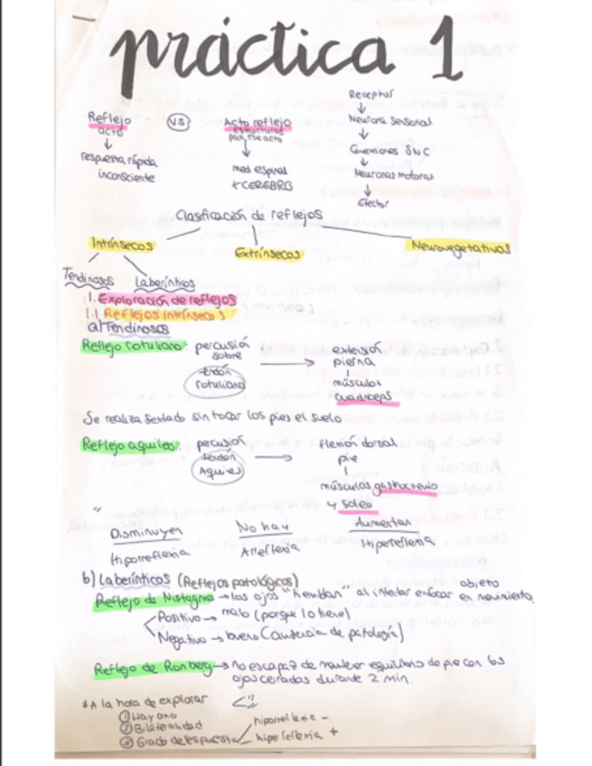 Miniatura del documento PRACTICAS-FISIOLOGIA.pdf