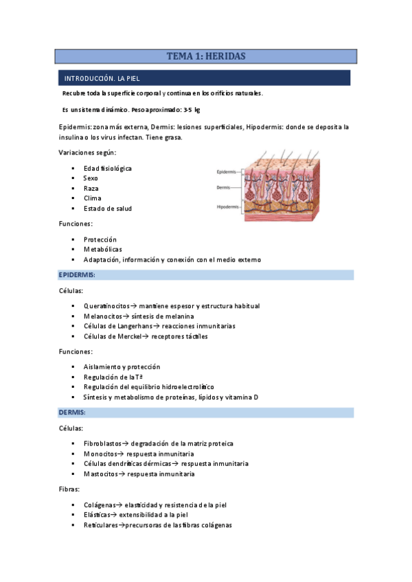 Miniatura del documento clinica-iienfermeria.pdf