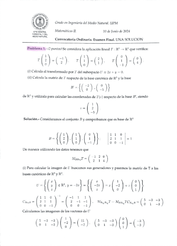Miniatura del documento Matematicasexamenesfinalestesueltos.pdf
