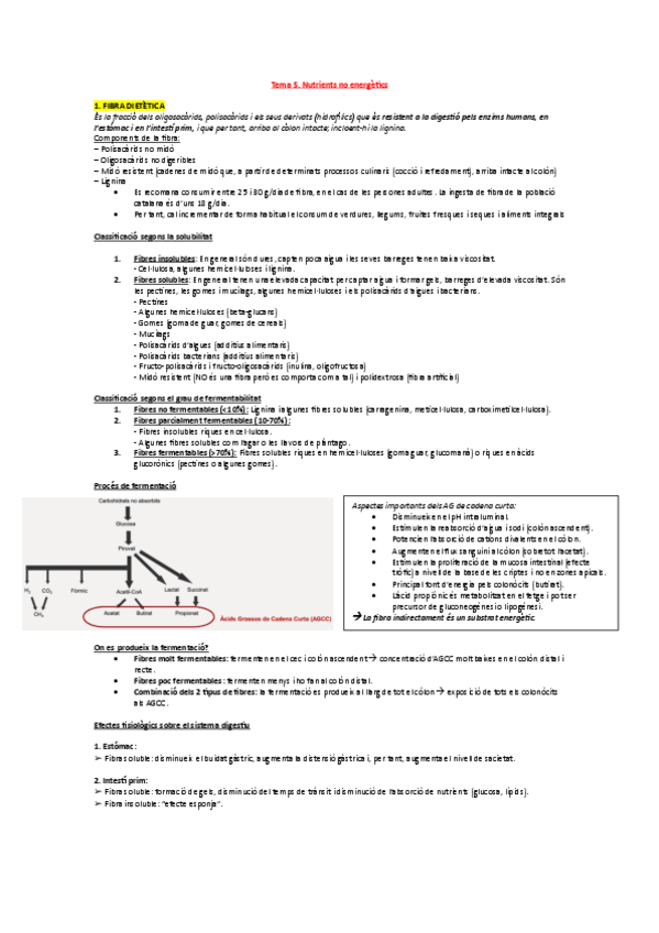 Miniatura del documento Tema-5.-Nutrients-no-energetics.-Fibra-Dietetica..pdf